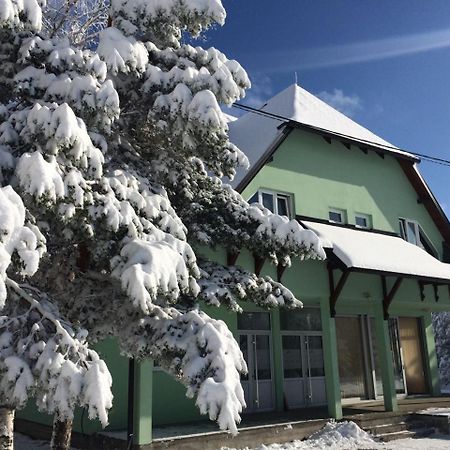 Vila Premijer Дивчибаре Экстерьер фото